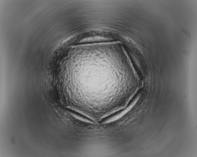 X0000112890822200909111502