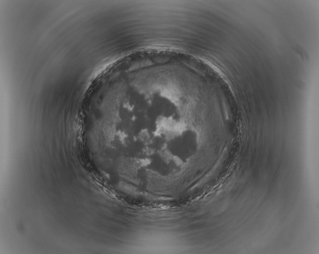 X0000112890823200909111502