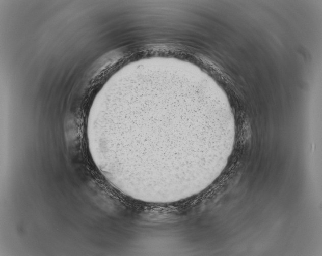 X0000112890824200909111502