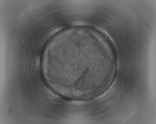 X0000112890825200909111502