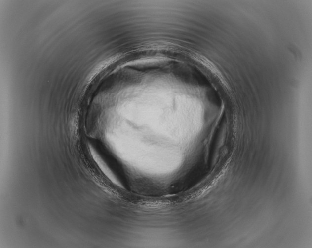 X0000112890826200909111502