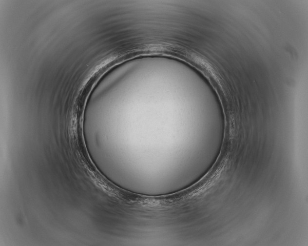 X0000112890827200909111502