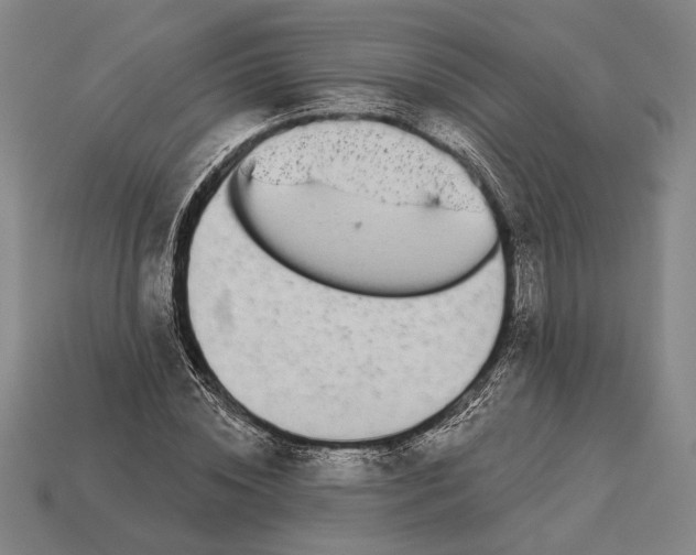X0000112890828200909111502