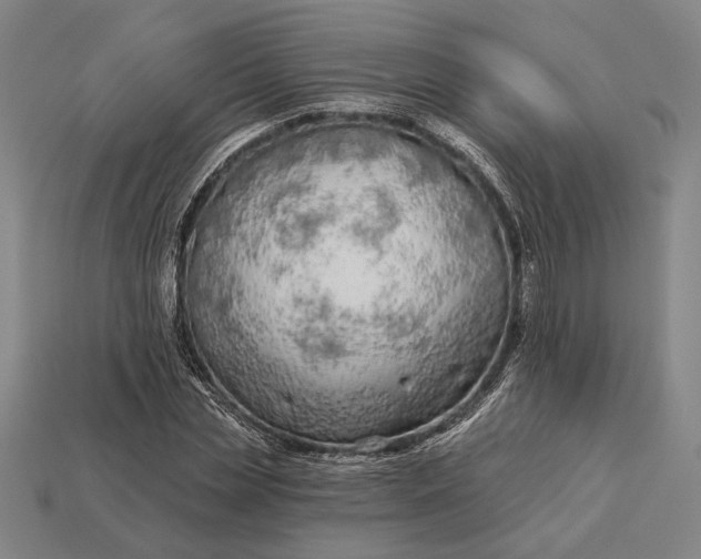 X0000112890829200909111502