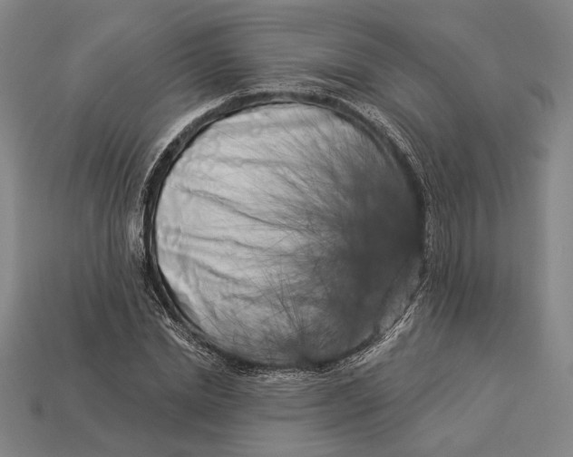 X0000112890830200909111502