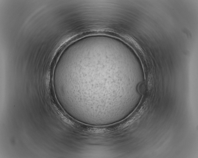 X0000112890831200909111502