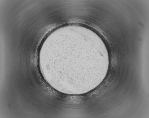 X0000112890832200909111502