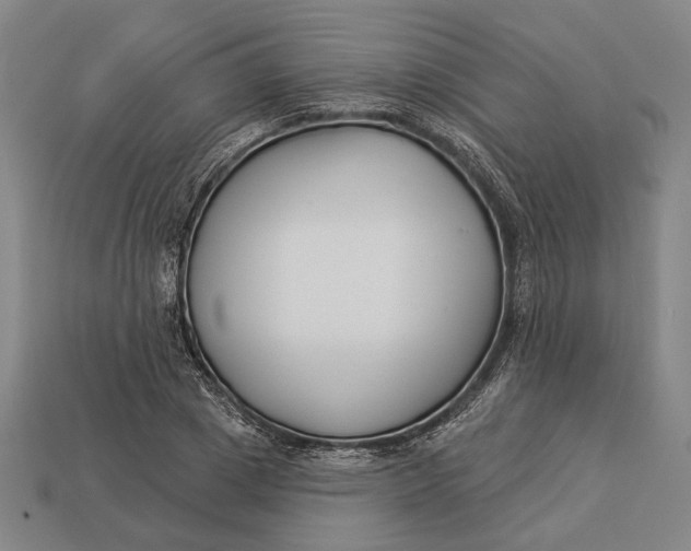 X0000112890833200909111502