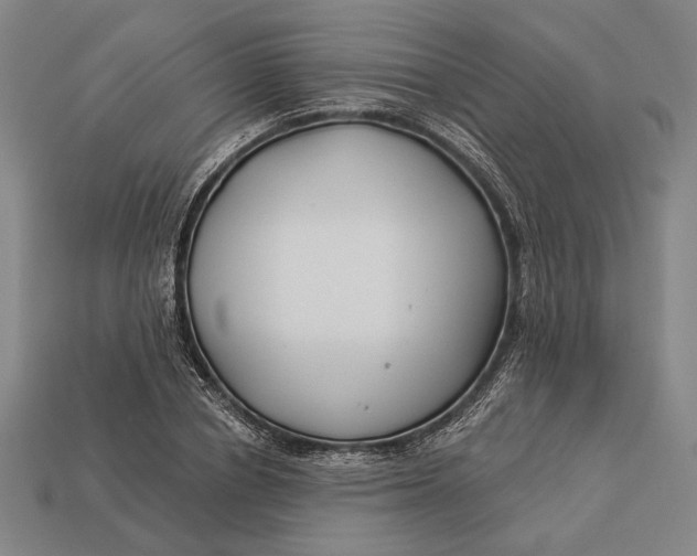 X0000112890834200909111502
