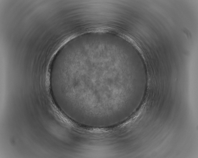X0000112890835200909111502