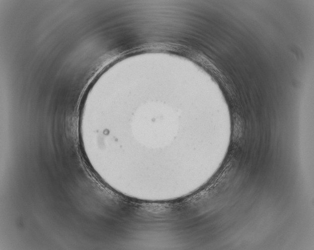 X0000112890836200909111502