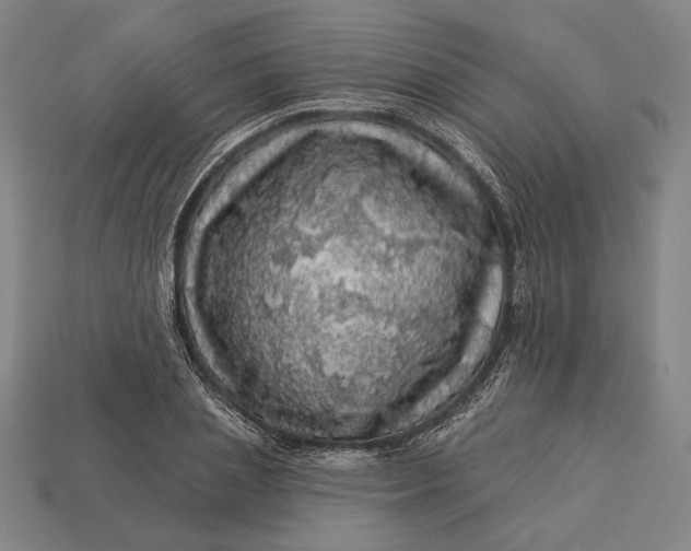 X0000112890837200909111502