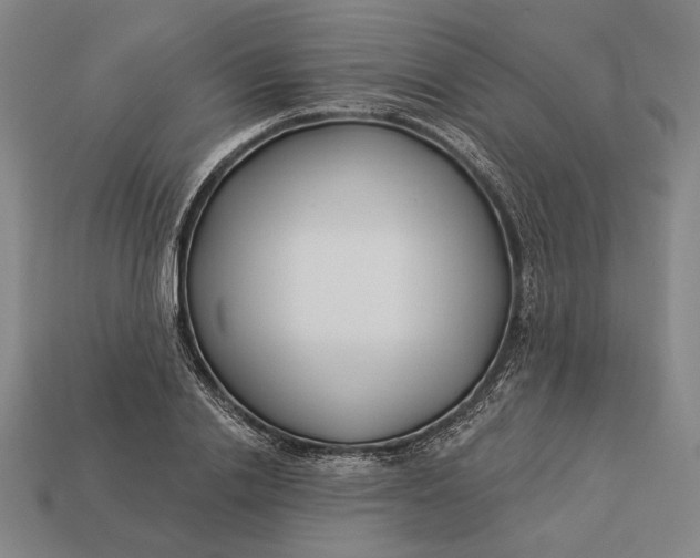 X0000112890838200909111502