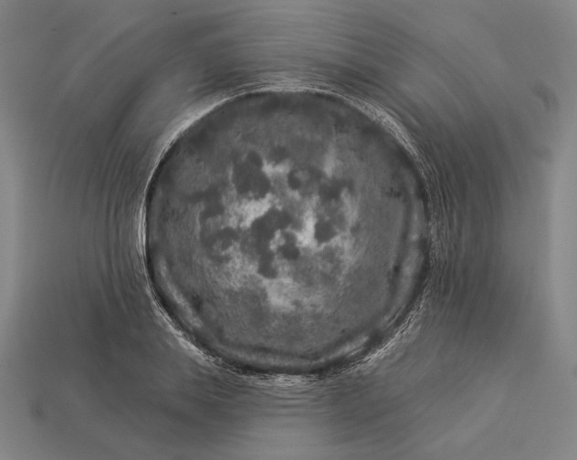 X0000112890839200909111502