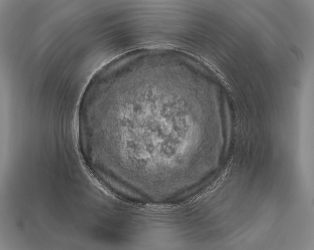 X0000112890840200909111502
