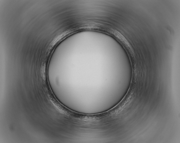 X0000112890842200909111502
