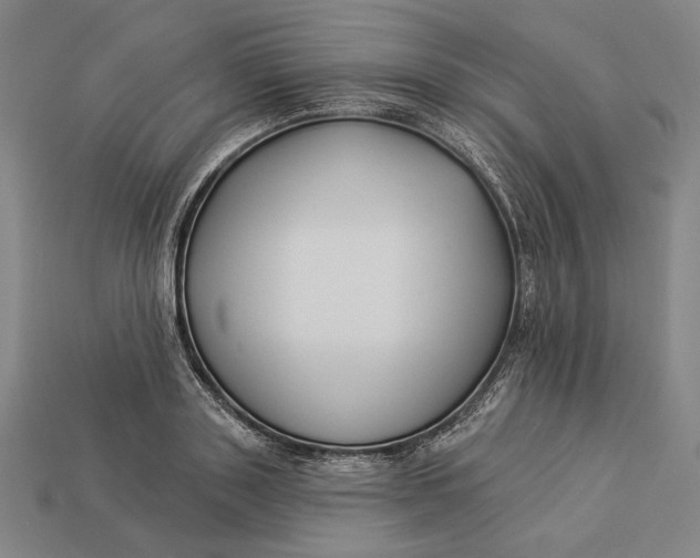 X0000112890843200909111502