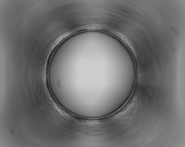 X0000112890845200909111502