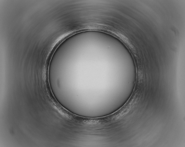 X0000112890846200909111502