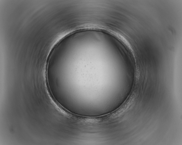 X0000112890847200909111502