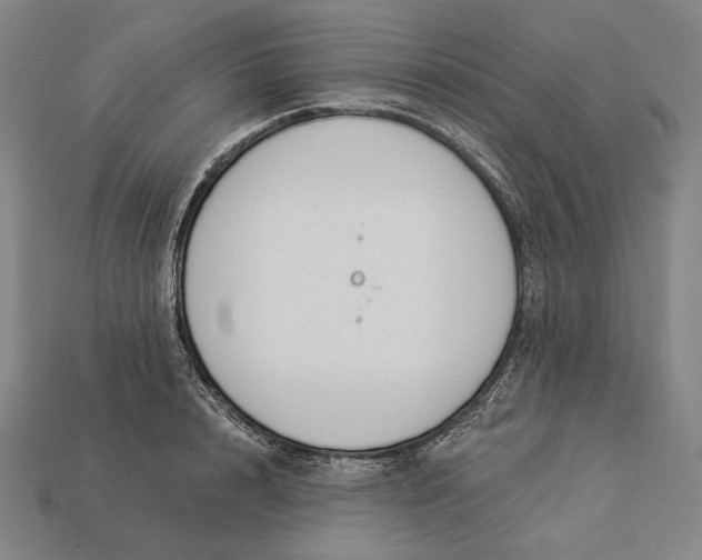 X0000112890848200909111502