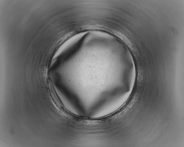 X0000112890849200909111502
