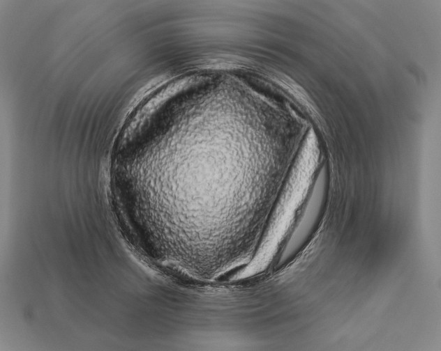 X0000112890850200909111502