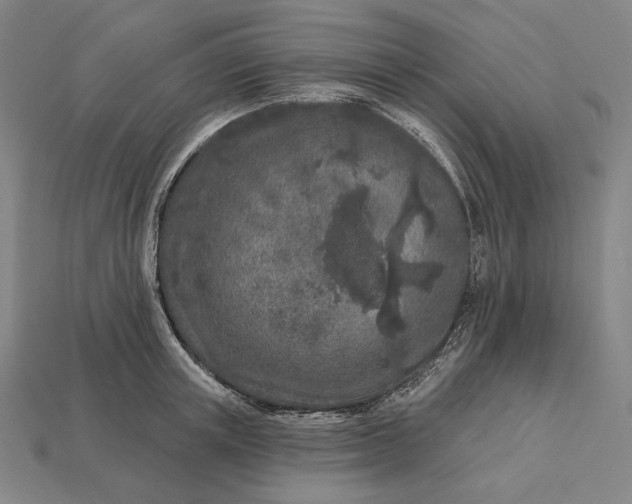 X0000112890851200909111502