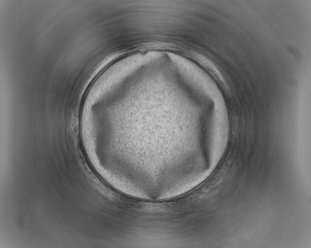 X0000112890852200909111502