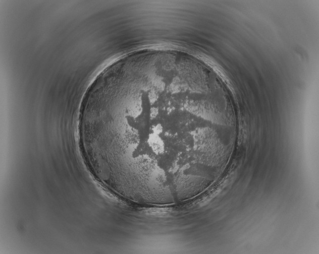 X0000112890853200909111502
