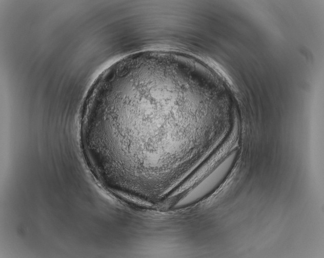 X0000112890854200909111502