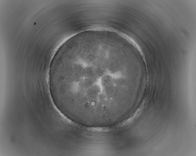 X0000112890855200909111502