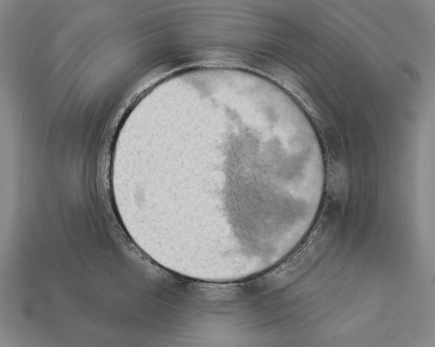 X0000112890856200909111502