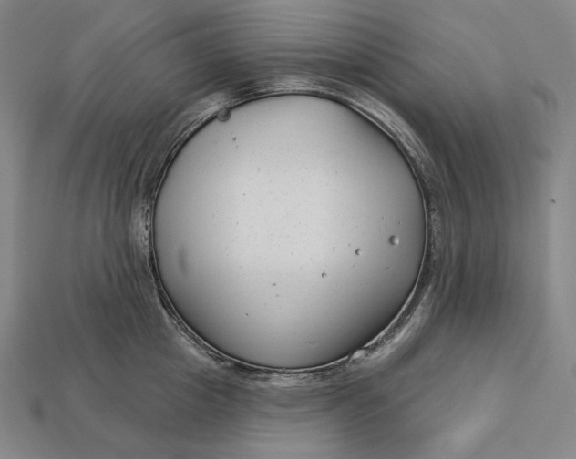 X0000112890857200909111502