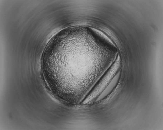 X0000112890858200909111502