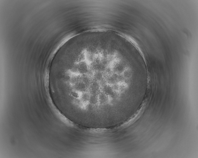 X0000112890859200909111502