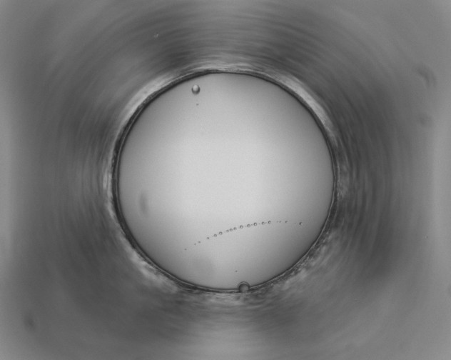 X0000112890861200909111502