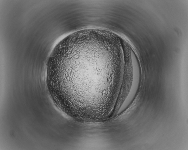 X0000112890862200909111502