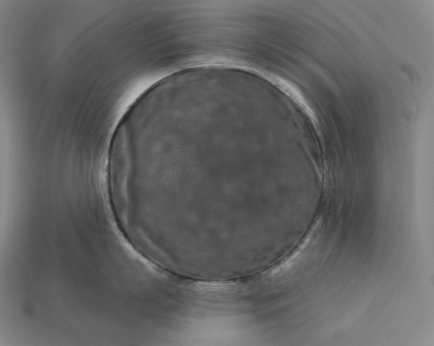 X0000112890863200909111502