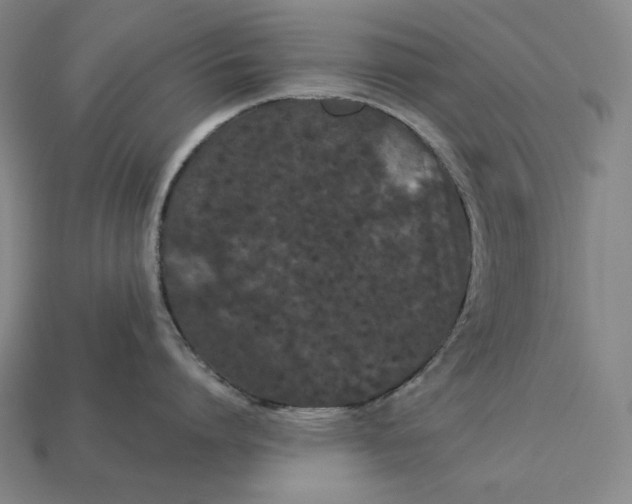 X0000112890864200909111503