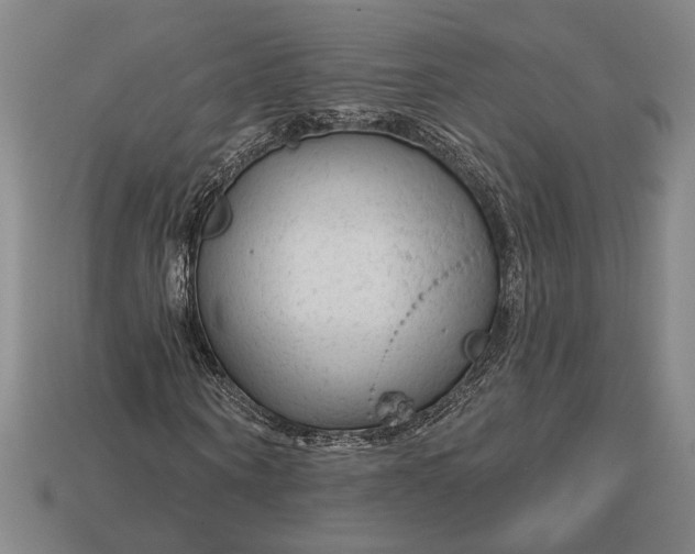 X0000112890866200909111502