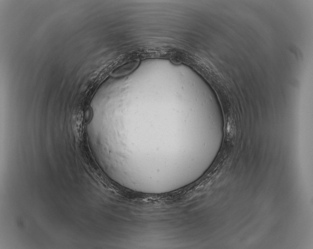 X0000112890867200909111502