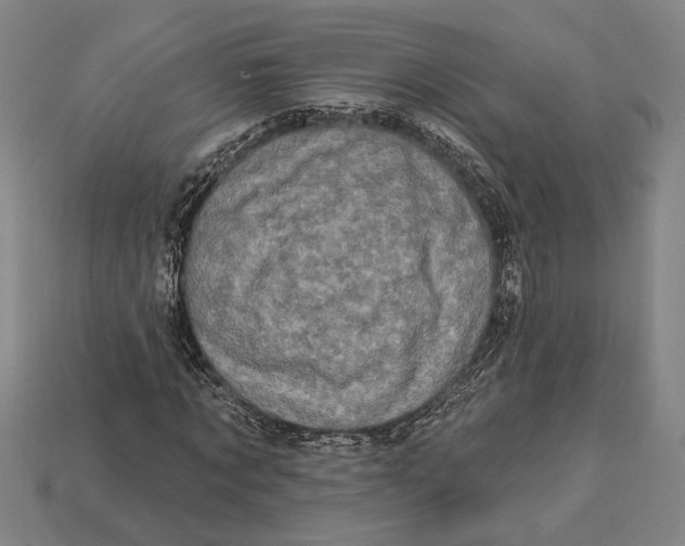 X0000112890869200909111502