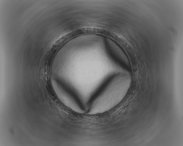 X0000112890870200909111502
