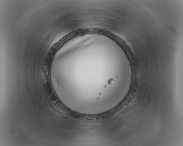 X0000112890871200909111502