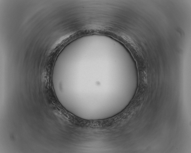 X0000112890872200909111502