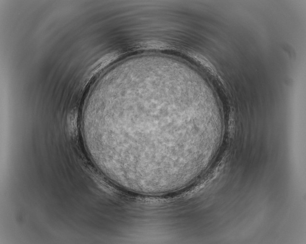 X0000112890873200909111502