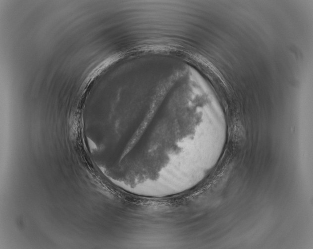 X0000112890874200909111502
