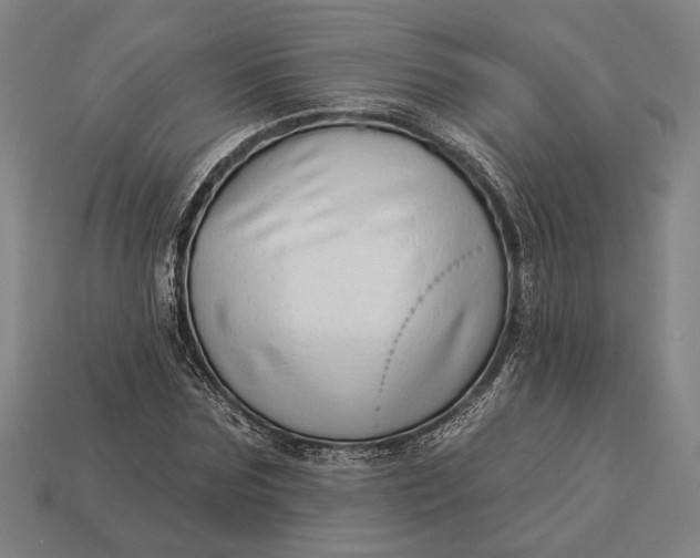 X0000112890875200909111502