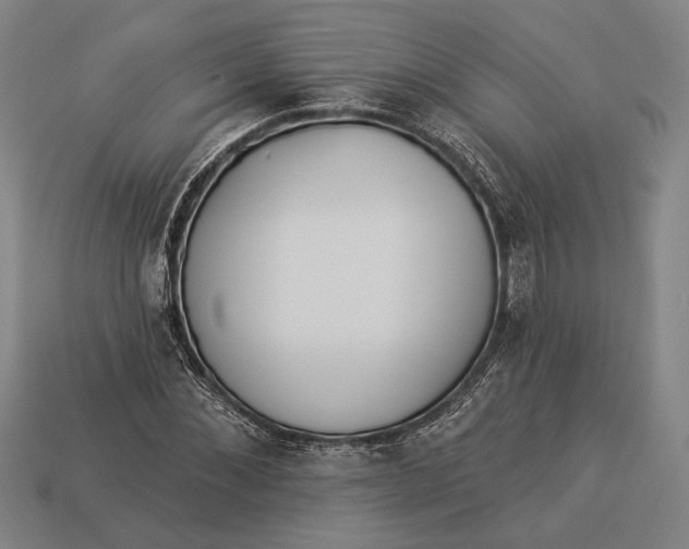 X0000112890876200909111502